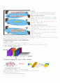 Beginning of the 4G-LTE & Wimax,4G,LTE,wimax 6페이지