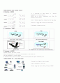 Beginning of the 4G-LTE & Wimax,4G,LTE,wimax 7페이지