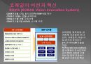 ERP를 구축한 기업 사례 (코레일, KOVIS 도입배경 필요성, KOVIS 도입과정에서의 반발과 문제점, KOVIS 도입성과).PPT자료 6페이지