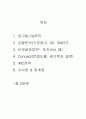 k2마케팅,k2마케팅전략,k2광고전략,k2광고,k2분석,k2기업분석,아웃도어시장,아웃도어 2페이지