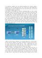 자동차 산업 (국산차,수입차,중고차,대포차) 유통구조 분석및 바람직한 자동차 유통구조를 위한 전략제안  8페이지