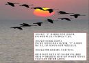 슈퍼리더십과 팔로워십의 주요내용 - 슈퍼리더십의 의의 및 특징, 실행단계, 이론의 발전방향, 팔로워십 정의 및 특징 11페이지