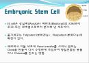 [발생공학] 형질전환 동물 transgenic animal.PPT자료 9페이지