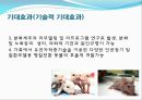 [발생공학] 형질전환 동물 transgenic animal.PPT자료 18페이지