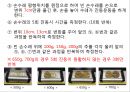 단조화운동.PPT자료 14페이지