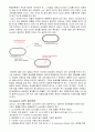 형질전환 (Transformation) 2페이지