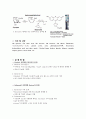 barfoed, Seliwanoff, Phloroglucin 실험 결과 레포트 입니다.  2페이지