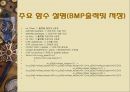 사람 추적 영상처리PPT 10페이지