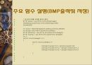 사람 추적 영상처리PPT 13페이지