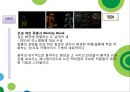 만화가 노만맥라렌 작가 조사 레포트  14페이지