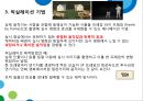 만화가 노만맥라렌 작가 조사 레포트  28페이지