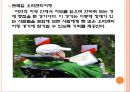 [생활체육] 오리엔티어링 (orienteering).PPT자료 11페이지