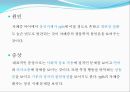 실로암 장애아동 재활치료센터 기관방문보고서  5페이지