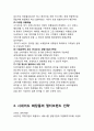 시세이도(SHISEIDO) 마케팅전략분석과 시세이도 브랜드분석과 시세이도 기업전략과 나의 의견 12페이지