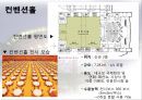 COEX 코엑스.ppt 16페이지