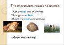 마이크로티칭 PPT 5페이지