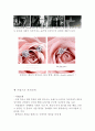 쥬얼리(Jewelry 보석) 광고 분석 7페이지