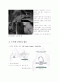 쥬얼리(Jewelry 보석) 광고 분석 10페이지