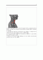 [성인간호학][Thyroid cancer][갑상선암][thyroidectomy] 수술실 케이스 스터디(Case Study), 문헌고찰 8페이지