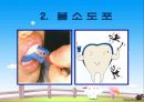 [구강보건교육][충치 예방][보건교육PPT]치아의 역할, 올바른 이닦기 방법 16페이지