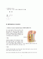 [성인간호학][OPLL][후종인대 골화증] 케이스 스터디(Case Study),[Ossification of posterior longitudinal ligament]문헌고찰  3페이지