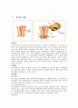 [모성간호학][자궁내막증][Endometriosis of uterus] 케이스 스터디(Case Study), 문헌고찰 2페이지