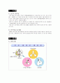 [성인간호학][COPD][만성폐쇄성폐질환] 케이스 스터디(Case Study), 문헌고찰[chronic obstructive pulmonary disease]. 2페이지