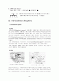 [성인간호학][안면경련][facial spasm] 케이스 스터디(Case Study), 문헌고찰 2페이지