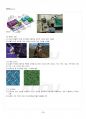 2014년 1학기 그래픽커뮤니케이션 멀티미디어 강의 핵심요약노트 4페이지