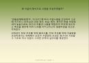  우리의 문화 유산 석굴암 4페이지