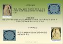  우리의 문화 유산 석굴암 14페이지