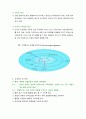 [지역사회간호학][가족간호][가정간호] 케이스 스터디(Case Study),고혈압,관절염 3페이지