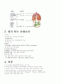 급성기관지염(Acute bronchitis) 케이스 스터디 2페이지