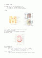 신장 요로계 건강 문제와 간호 셀프 스터디 self-study 2페이지