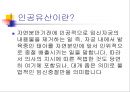 인공유산 2페이지