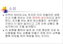 인공유산 16페이지