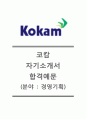 [코캄-경영기획합격자기소개서]코캄자소서+[면접기출문제]_코캄공채자기소개서_코캄채용자소서_Kokam자기소개서_kokam자소서 1페이지