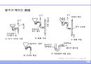 배수 및 통기설비 (排水 및 通氣 設備).ppt 19페이지
