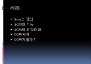 SCM,SCM도입효과,사례,SCM미래가치,공급망관리.공급망관리사례,공급망관리도입 2페이지