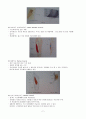 근육주사IntramuscularInjectionIM[1] 2페이지