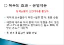 보완대체요법-목욕법 4페이지