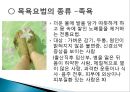 보완대체요법-목욕법 22페이지