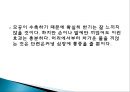 보완대체요법-목욕법 42페이지
