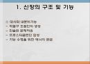 crf (chronic renal failure) 5페이지