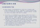 해운동맹(Shipping conference)의 기능과 장단점 PPT자료 18페이지