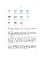 LCD Module(액정표시장치)에 대한 모든 것 4페이지