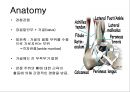 만성 발목 염좌 재활 운동 가이드 (발목의 해부학, 발목 염좌 이해, 발목의 주차별 재활 운동 방법 소개).PPT자료 2페이지