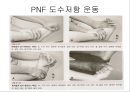 만성 발목 염좌 재활 운동 가이드 (발목의 해부학, 발목 염좌 이해, 발목의 주차별 재활 운동 방법 소개).PPT자료 29페이지