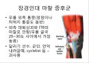 무릎의 신체 검진 및 질환 소개.PPT자료 36페이지