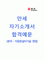[안세-자동차설비기술영업직자기소개서]안세자소서+[면접예상문제]_안세공채자기소개서_안세채용자소서_안세합격자기소개서 1페이지